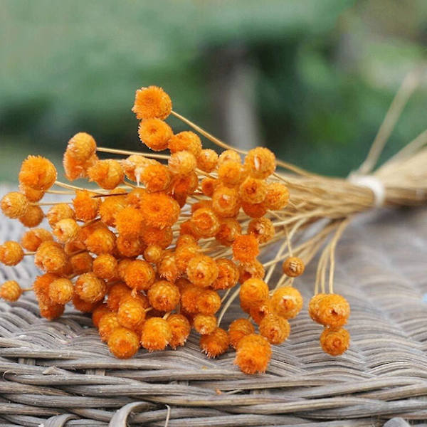 Orange Tørret Buket med 50 Stilke - Kunstige Blomster til Dekorative Vase og Bord