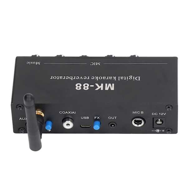 Digital Reverb Stereo Förstärkare Bluetooth 5.0 Dubbel Mikrofoningång DC 12V