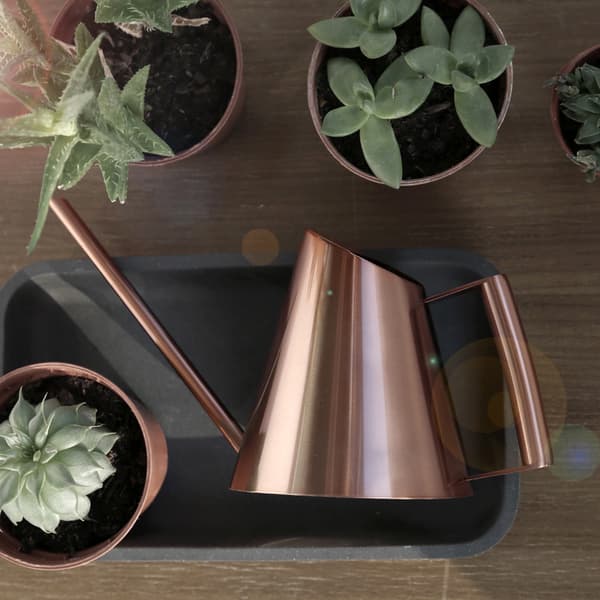 Vandkande i rustfrit stål til husholdning, have, grønne planter, blomster, bronze M