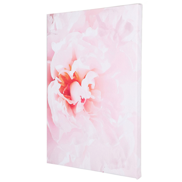 Blomsterkonstbilder Fashionable Ambience Ljus färg blekningsbeständighet Väggdekor Konst för hemmakontor Bar kök Café Typ A