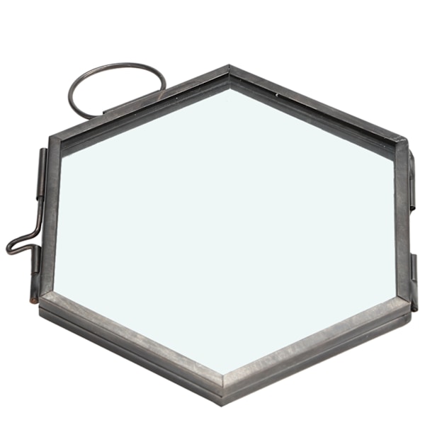 Hengende geometrisk sekskantet glassram tørket blomst planteprøve klippdisplay