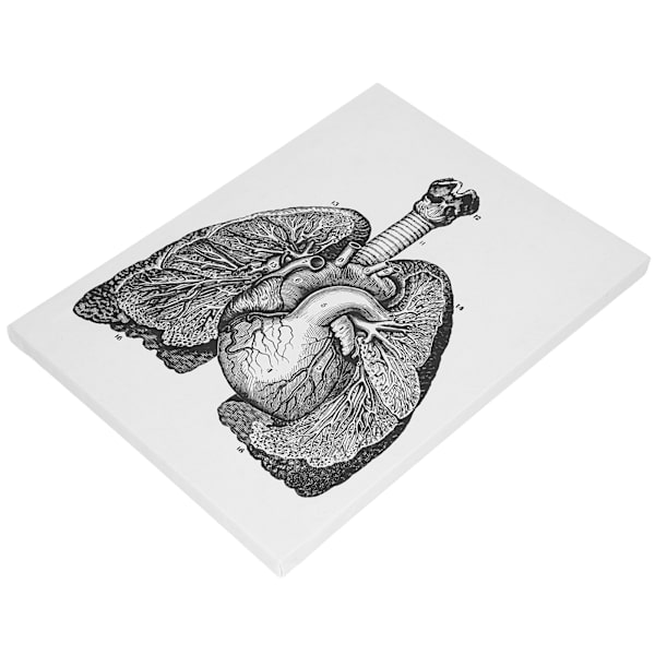 Anatomian kangas retro koristeellinen seinäelin taidemaalaus sairaalaan makuuhuoneeseen luokkahuoneeseen tyyppi A