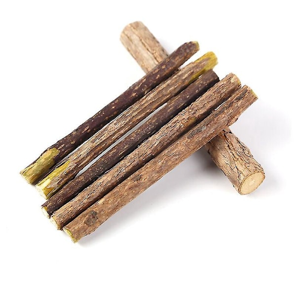 10-pack Matatabi-pinnar för katt, torkad kattmynta, naturlig kattmynta, Matabi-pinne, leksak för katter, 0,4–0,6 cm