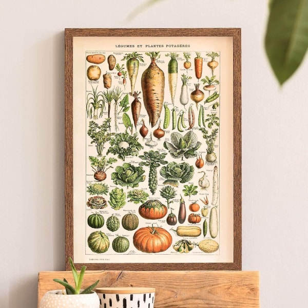 Plakat i retrostil på 30 x 40 cm med diverse grønnsaker og planter