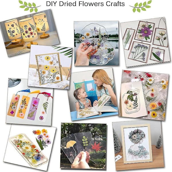 Professionell Blomsterpressningssats, 30x21cm DIY Blomsterpressningskit kompatibelt med Vuxna För Att Göra Torkade Blommor &-B5