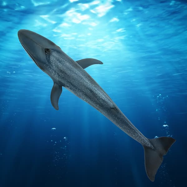 Fisk Model Boligindretning Pædagogisk Børn Sød Simulation Miniature Dyr Legetøj