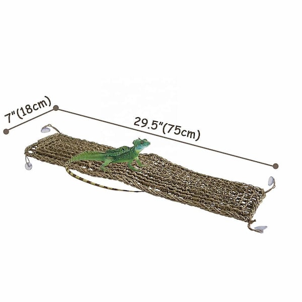 Reptilbur til Kamelæon, Firben, Gecko, Slanger, Leguan, Skildpadder (29,5' X 7' Rektangel)