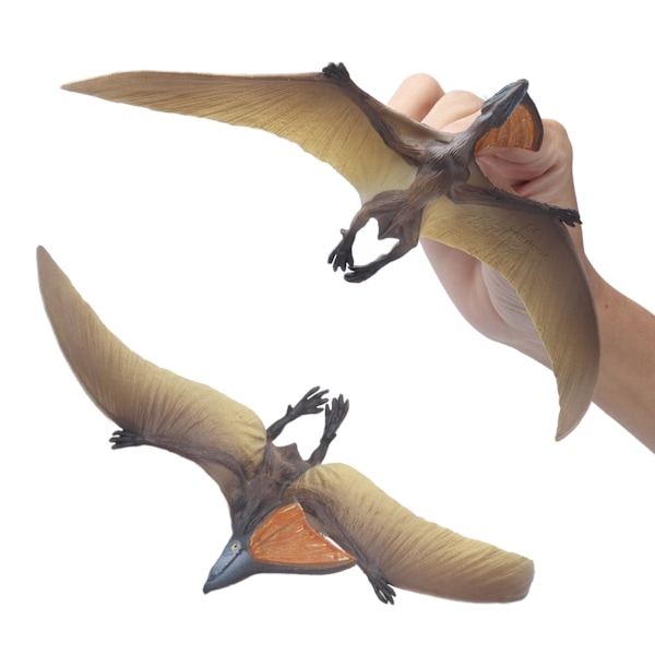 Jurassic Dinosaur Model Legetøj Simulation Pterosaur Samling Model Pædagogisk Legetøj til BørnSimulation Pterosaur Model