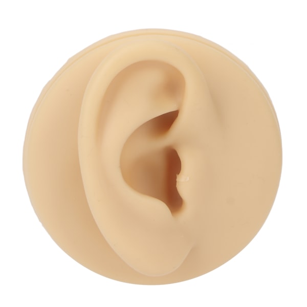Ørezonemodel Blød silikone Vandtæt naturtro klar struktur Human Right Ear Learning Model