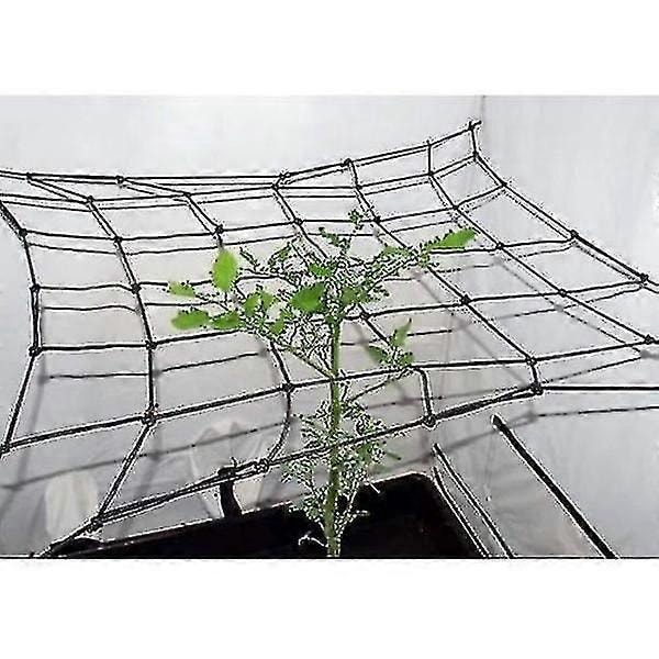 Hydroponisk Odlingstält Scrog Nät Växtstöd Nät Elastiskt Böjt Rutnät Spaljé Liten 60*60CM