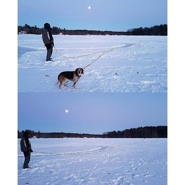 Håndfri Hundetreningsline Nylonreim 10m Lang med Håndtak for Små til Store Hunder Svart