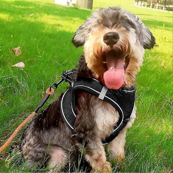 Hundsele, Mjuk Mesh Reflexterande Andningsbar Västsele, Lätt Promenadsele med Säkerhetsspänne för Små och Mellanstora Hundar (L, Svart)
