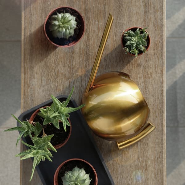 1000 ml vandkande i rustfrit stål med lang tud til haveblomster og planter, guld
