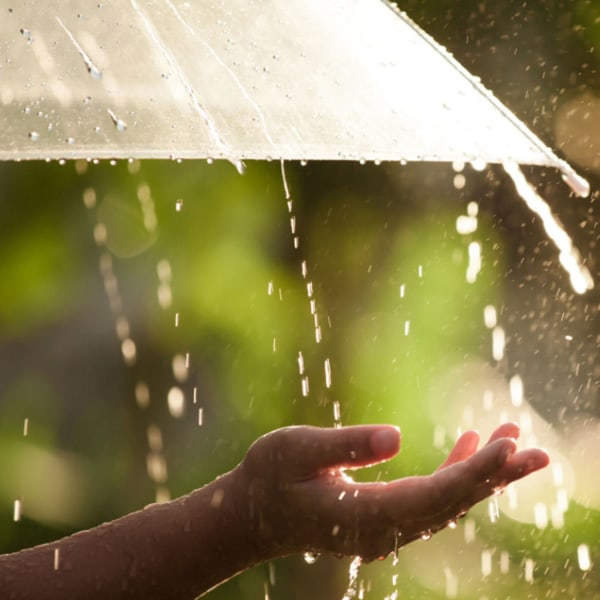 Gjennomsiktig regnparaplyer Sammenleggbar bærbar Tri Fold moteparaply for damer