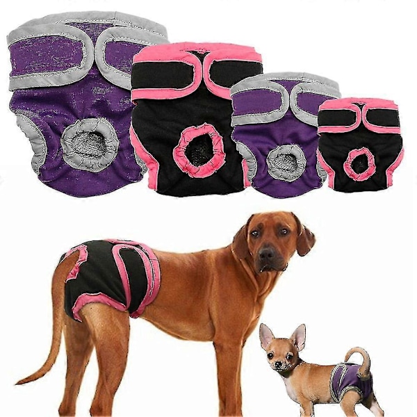 Tvättbara Hundblöjor för Tikar, Återanvändbara Blöjbyxor för Tikar, Superabsorberande och Bekväma Zekai Lila XL