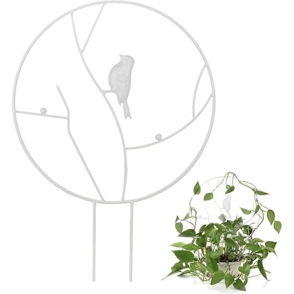 Hageranke for klatreplanter, vintage stake med rund rustsikker metallfugl for potteplanter