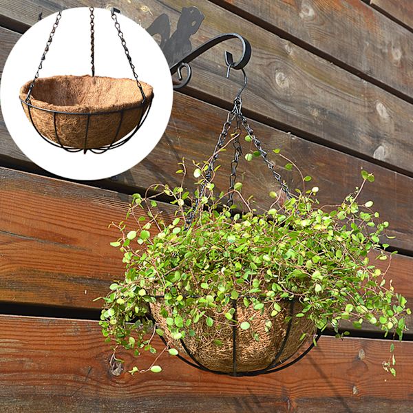 Kokospalme hengende kurv - middels størrelse (25 cm)