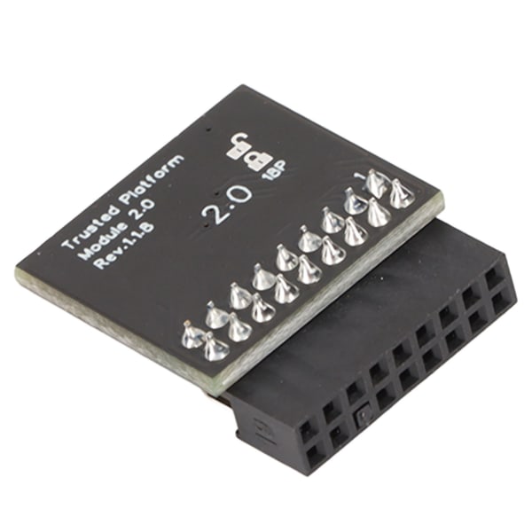 TPM 2.0 krypteringssäkerhetsmodul 18pin LPC-gränssnitt Krypteringssäkerhetsmodul för Asrock 18pin SPI TPM2.0