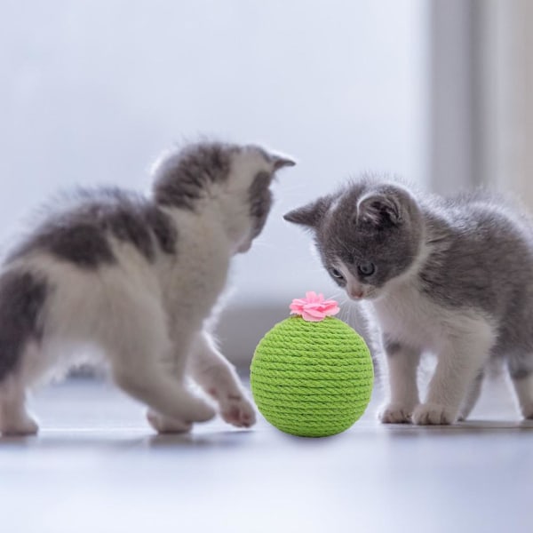 Kaktus Sisal Rep Kattboll Leksak med Catnip Katt Teaser Leksak för Kattungar Katter Interaktiv Leksak