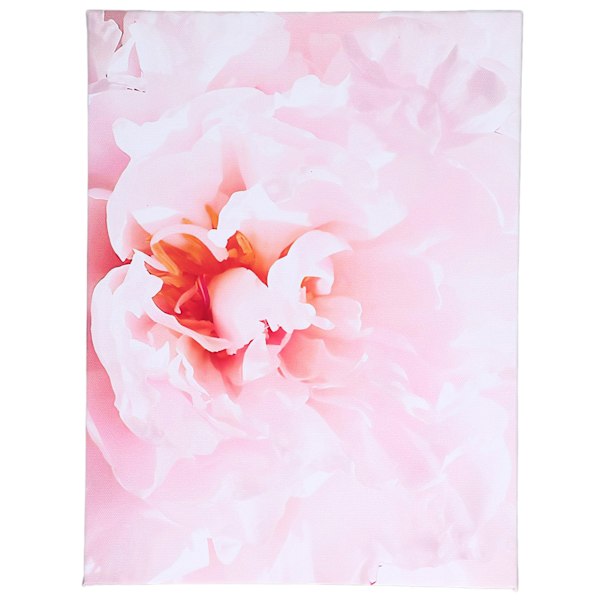 Blomsterkunst Billeder Fashionable Ambience Lyse Farve Fade Resistance Væg Dekoration Kunst til Hjemmet Kontor Bar Køkken CafeType A