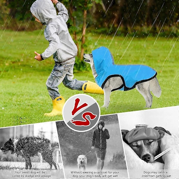Blue-L 2 i 1 Hunderegnjakke, Lett Hette Hundedress Pustende Regnponcho for Små og Mellomstore Hunder