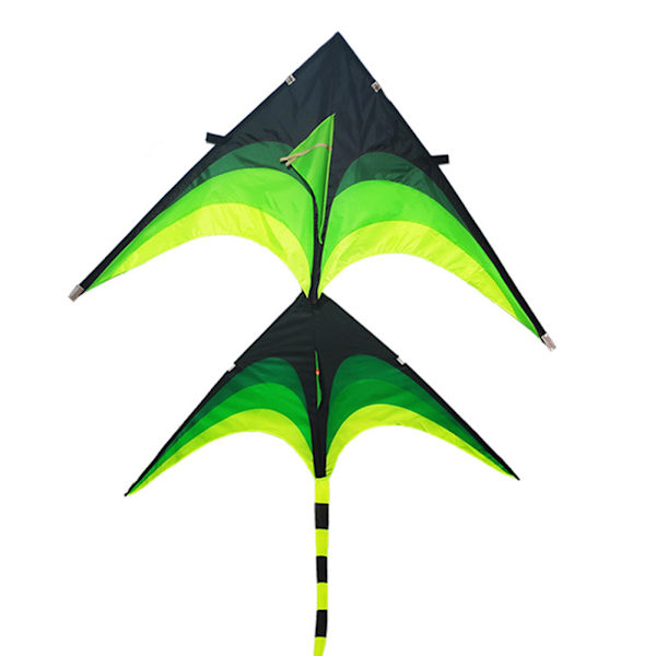 Delta Kite 1,6 m Lätt att flyga Bärbar klassisk triangeldrake för vuxna barn Nybörjare Grön