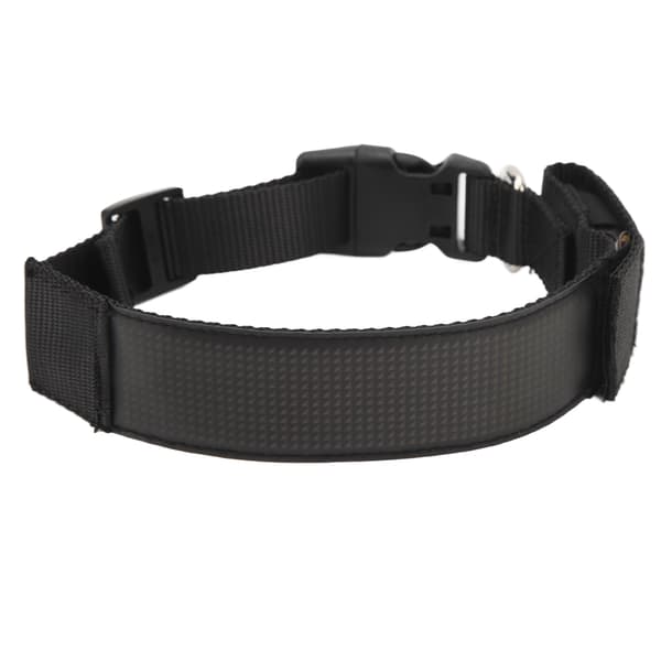 Farve LED Halsbånd Bluetooth Forbindelse Genopladelig Hundehalsbånd Lysende Rem til Camping Nattevandring