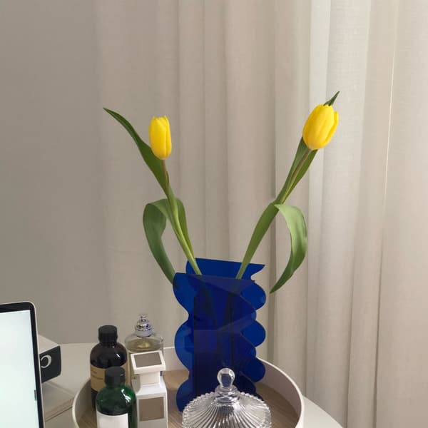 Blomvas Modern Akryl Dekorativ Unik Vågformad Vas för Sovrum Vardagsrum Bord Blå