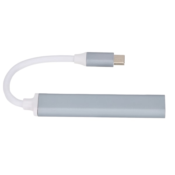 USB C Hub 4 i 1 höghastighets lätt bärbar USB dockningsstation för tangentbordsskrivare Mobiltelefon TabletGrå