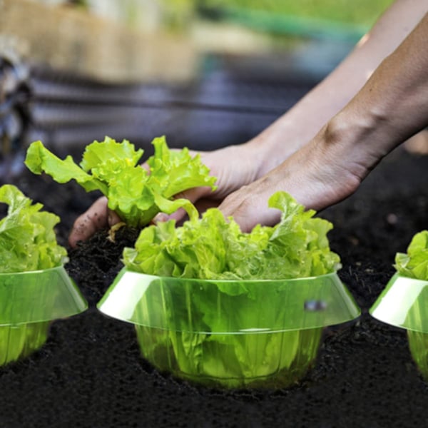 Snegleafvisende beskyttende ring Sneglekrave til beskyttelse af planter mod dyrespisning