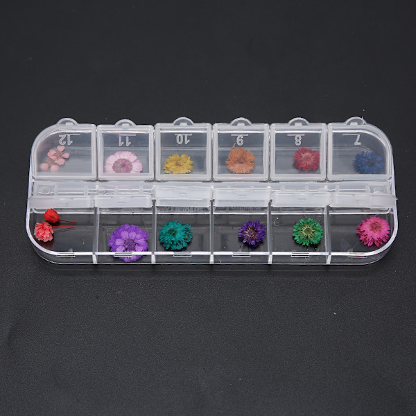 12 färger / låda torkade blommor nageldekoration DIY nagelkonst dekoration tillbehör D-stil
