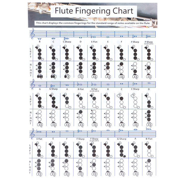 Fløjte fingersætning Akkordskema Begynder Elev Praksis Læremidler Instrumenttilbehør S(28x21cm)