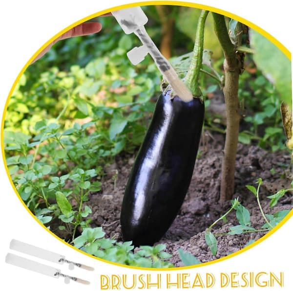 Pollination Tool, Vegetable Pollination Brush, Garden Fruit Pollinator, Brush Tip Design, Precise Pollen Distribution, Manual Pollination Tool