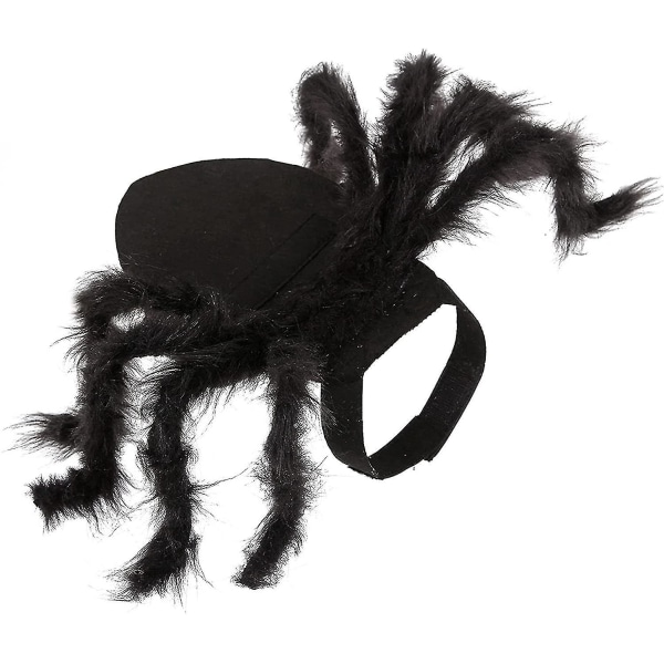 Edderkopp kostyme til kjæledyr
