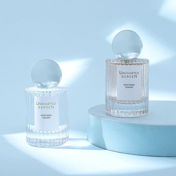 Kvinnor Elegant uppfriskande blommig parfym Långvarig lätt doftparfym för julfest 50 ml
