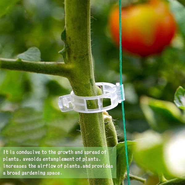 10 Tomato Support Hooks, Trellis Hooks for Tomatoes, Plant Growth Traction Rope, J-Hooks for Tomatoes and Plants, 10m (33ft) Rope.