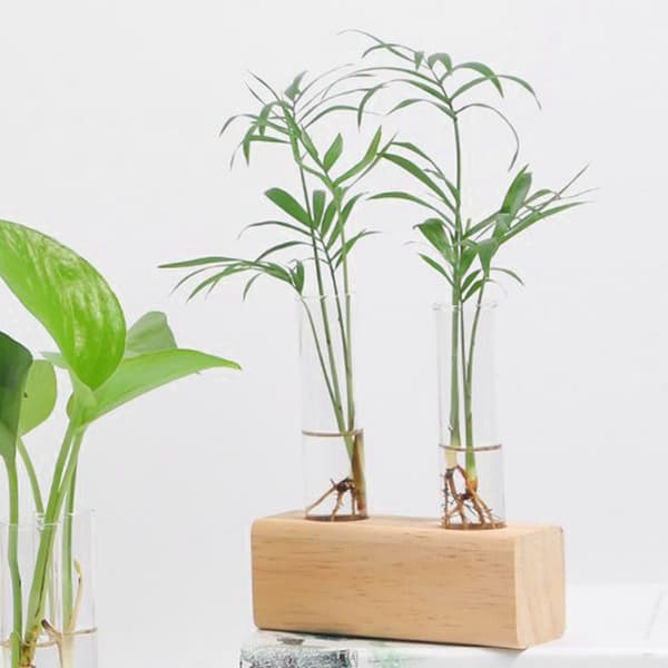 Växtvas i glas, provrör, hydroponisk växtvas, terrariumbehållare, heminredning med ställ