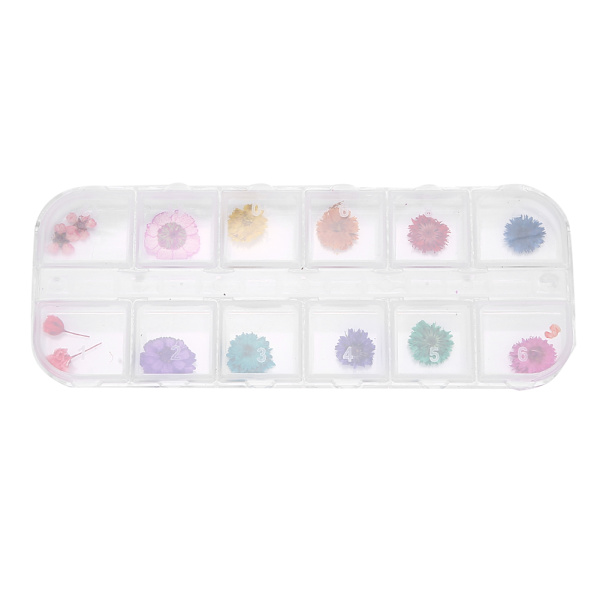 12 färger / låda torkade blommor nageldekoration DIY nagelkonst dekoration tillbehör D-stil