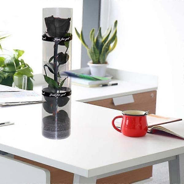 En ekte bevart rose, evighetsrose, holdbar rose, evig blomstrende rose black