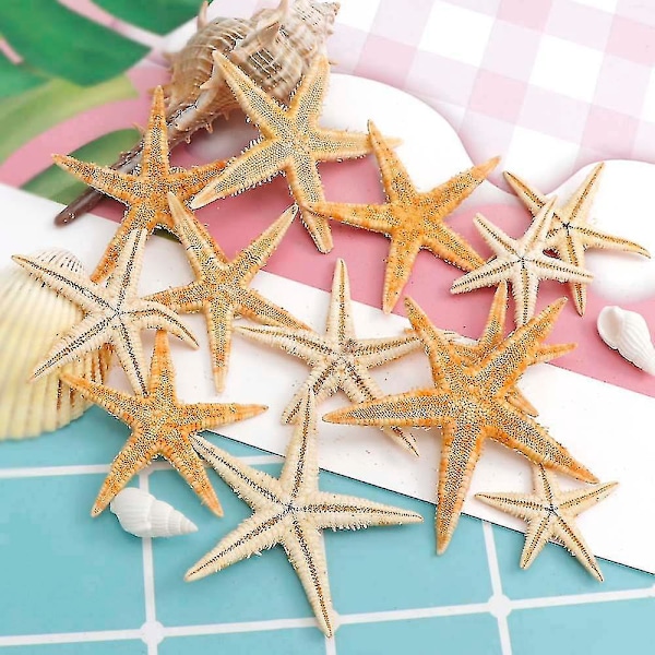 Naturlige Sjøstjerner Skall Strand Håndverk DIY Bryllup Dekorasjon