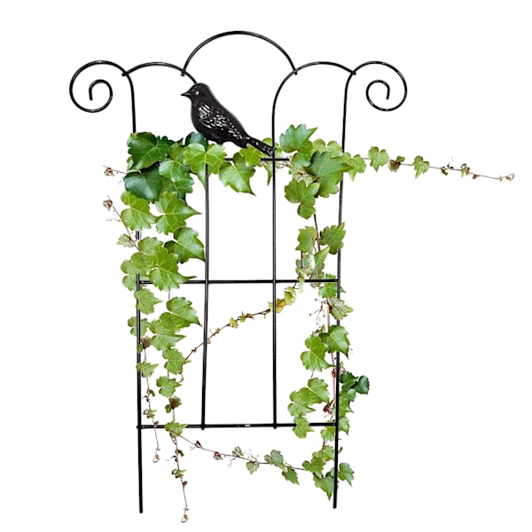 Trädgårdsspaljé i rostfritt stål för klätterväxter Vine Plant Support Spaljé för Vines A A