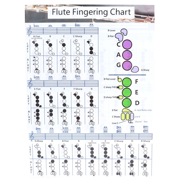 Fløjte fingersætning Akkordskema Begynder Elev Praksis Læremidler Instrumenttilbehør S(28x21cm)