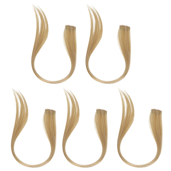 5kpl Clip in Hairpiece Värilliset suorat hiuspidennykset Clip Hiuslisäkkeet juhliin CosplayFlaxen