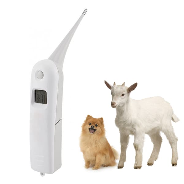 Veterinärtermometer Digitalt husdjurstermometer Elektronisk termometer för djur