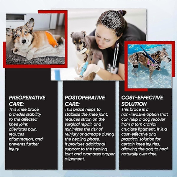 Premium Hund ACL Knäskydd, Hund Knäskydd För Trasig ACL Bakben, Hund ACL Skydd Bakben M