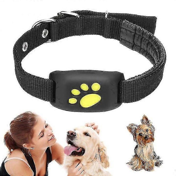 Kat og Hunde Halsbånds Tracker - Smart GPS Sporingsenhed Gul