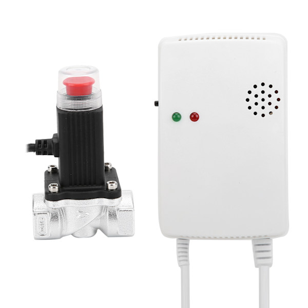 Drivstoff Kull Naturgass Alarm Uavhengig veggmontert husholdning med drivmagnetventil AC110220V(EU-plugg)