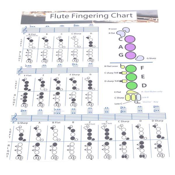 Fløjte fingersætning Akkordskema Begynder Elev Praksis Læremidler Instrumenttilbehør S(28x21cm)
