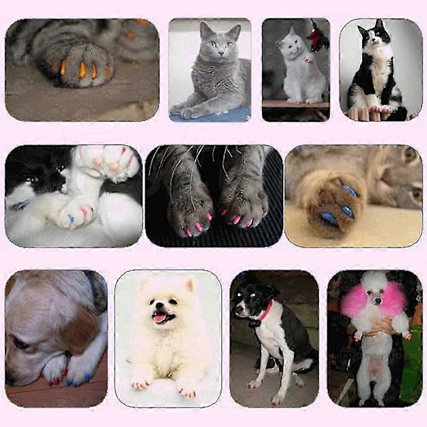 Nya färgglada katt-/hundnagelkapslar mjuka katt-/hundklor mjuka tassar 20 st/lot mjuka katt silikonnagelkapslar Storlek XS S M L Present till husdjur M Citrongul