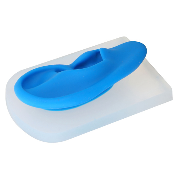 Silikonöronmodell Mjuksimulerad öronmodell för hörselförstärkare Display Undervisning Transparent och Blue